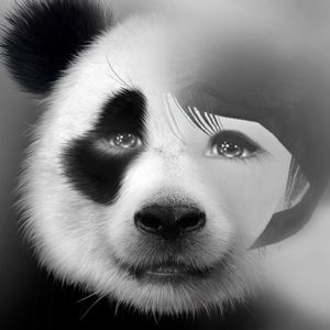 Meet your Posher, Kaden